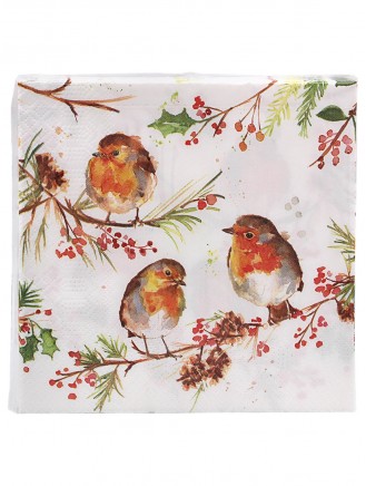 Winter Robins Paper Napkins (Pack of 20)