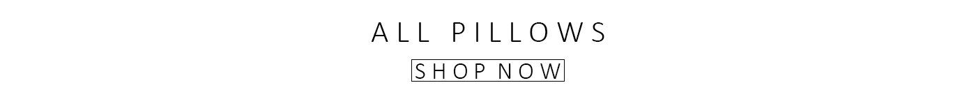 Shop All Pillows